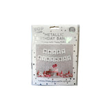 Metallic Birthday Banner 5m