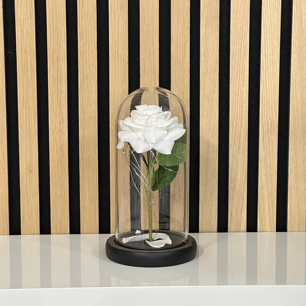 Silk White Rose in a Dome